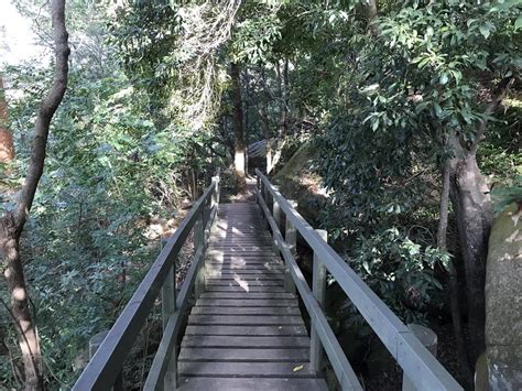 Lane Cove National Park Fairyland Loop Track Bitesize Traveller