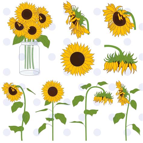 Free SVG Sunflower Svg Images 2942+ File for Silhouette
