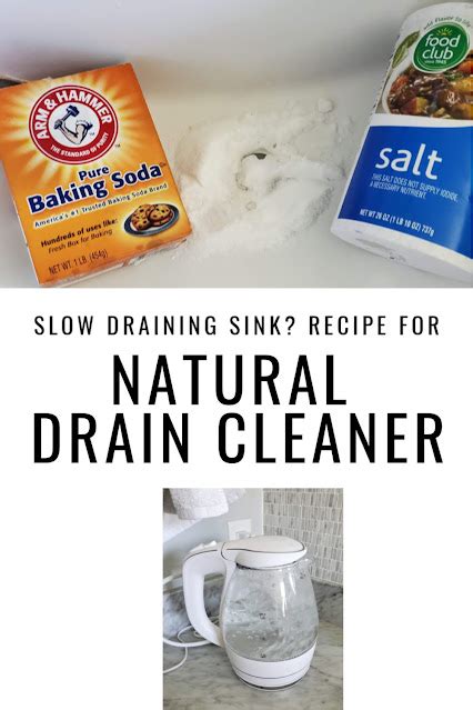 Homemade Natural Drain Cleaner 320 Sycamore