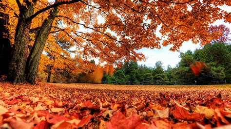 Wallpaper Of Autumn Season Up To 20 Personal Images Fotosmseygu