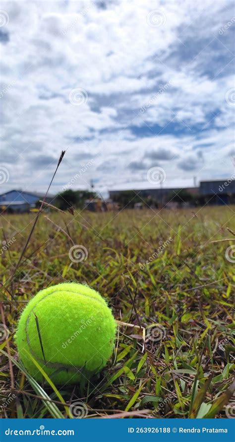 A Tennis Ball On The Grass At Noon Stock Photo Image Of Noon Ball