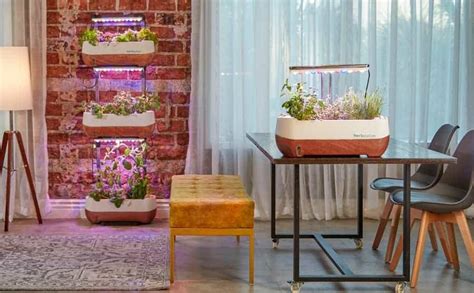 Growing Vegetables Indoors With Grow Lights In Depth Guide Garden