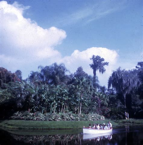 Florida Memory View Showing Tour Boat At The Cypress Gardens Theme