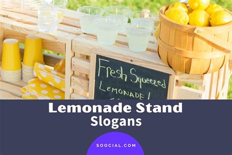 609 Lemonade Stand Slogans To Boost Your Summer Sales Soocial