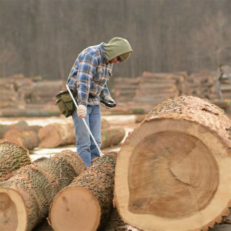 High Grade Hardwood Logs For Sale Weaber Lumber