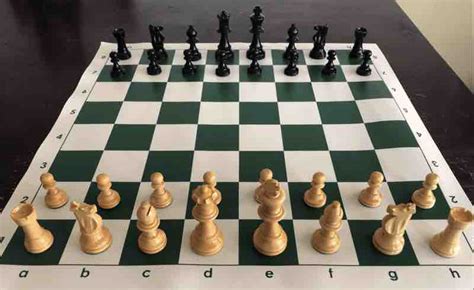 Satranç Nedir Satranç Nasıl Oynanır Kuralları Nelerdir