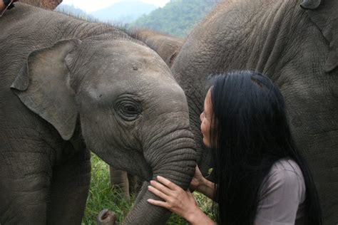 The Woman Saving Thailand's Elephants | Unearth Women