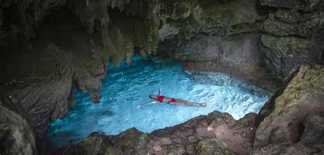 Christmas Island Australian Wildlife Journeys