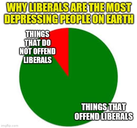 Yes Liberalism Is A Mental Disorder Imgflip