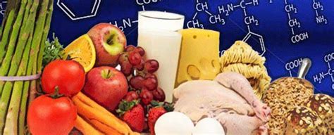 Además, poseen todos los aminoácidos esenciales, frente a otros que tienen algunas carencias como las lentejas, los cereales y el arroz. Alimentos ricos en aminoácidos esenciales para el organismo