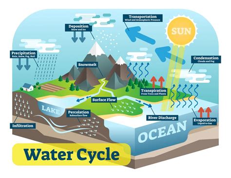 The Natural Water Cycle Is The Movement Of Water Around The World