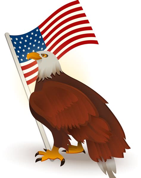 American Flag Eagles Bundle Free Images Wing Star Land Red Beak Symbol Flag