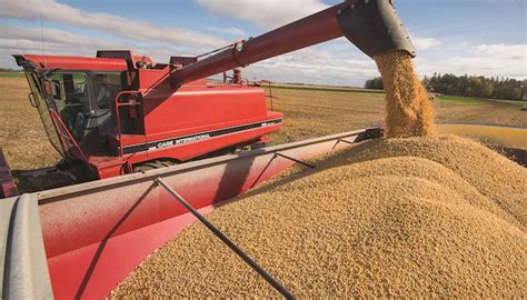 Soybean Harvesting Storage And Marketing Best Practices