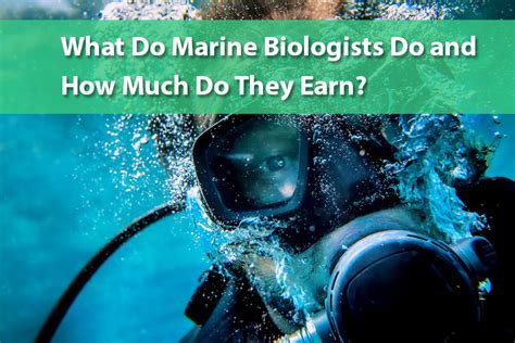 What Do Marine Biologists Do And How Much Do They Earn