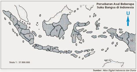 Gambar Peta Daftar Persebaran Asal Suku Bangsa Indonesia Gambar Atlas