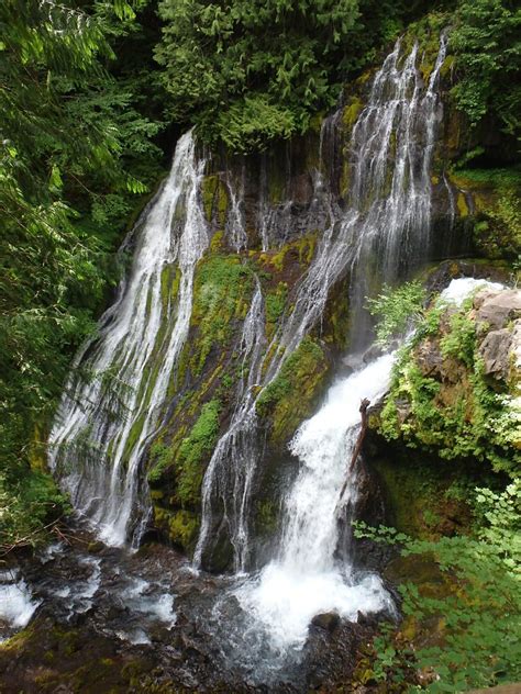 Panther Creek Falls — Washington Trails Association