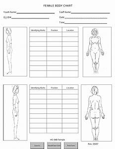 Human Body Types Chart