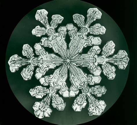 The First Photographs Of Snowflakes Discover The Groundbreaking