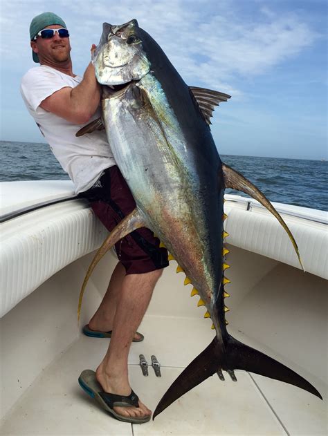 Ruffs Fishing Charters The Big Tuna Are In