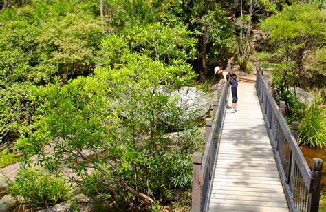 Yuelarbah Walking Track Nsw Holidays And Accommodation Things To Do
