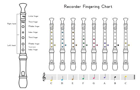 Recorder Notes and Fingering Chart - Lake Tract, Oak Valley, and Shady ...