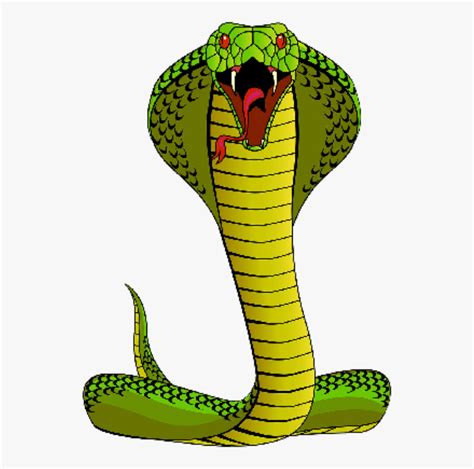 Download 609 snake cliparts for free. Snake Clipart Spitting Cobra - Snake With Mouth Open ...