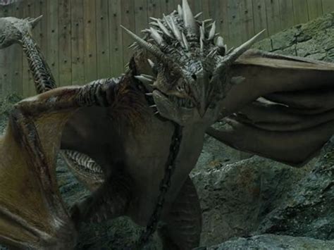 More images for harry potter dragons movie » Harry potter creature quiz | Playbuzz