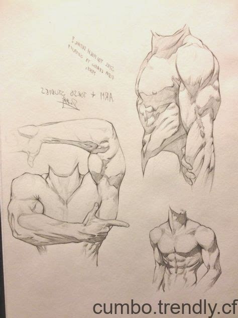 Male Arm And Torso Studies By Defiantartistry