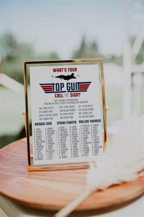 Top Gun Birthday Party Game Whats Your Top Gun Call Sign Game Figh