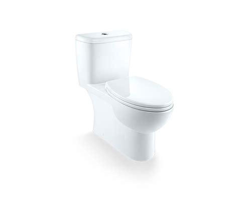 Sydney Smart Ii One Piece Dual Flush Toilet With Top Buttons Caroma Usa