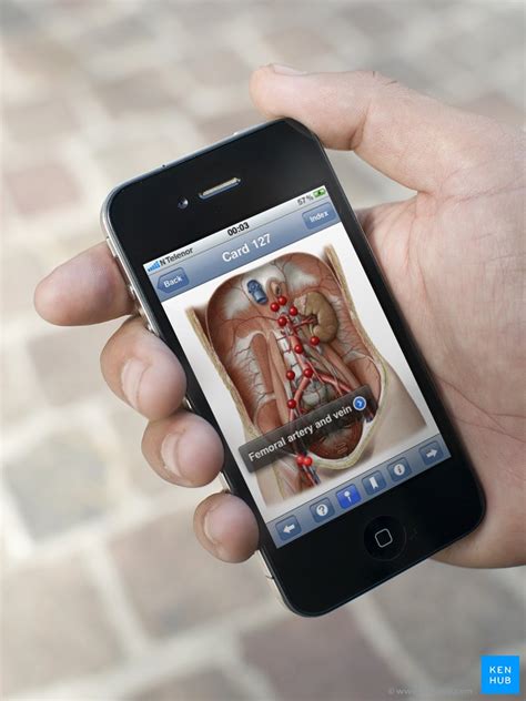 Making your world a safer place. Review of the anatomy on the go app for iPhone and iPad ...