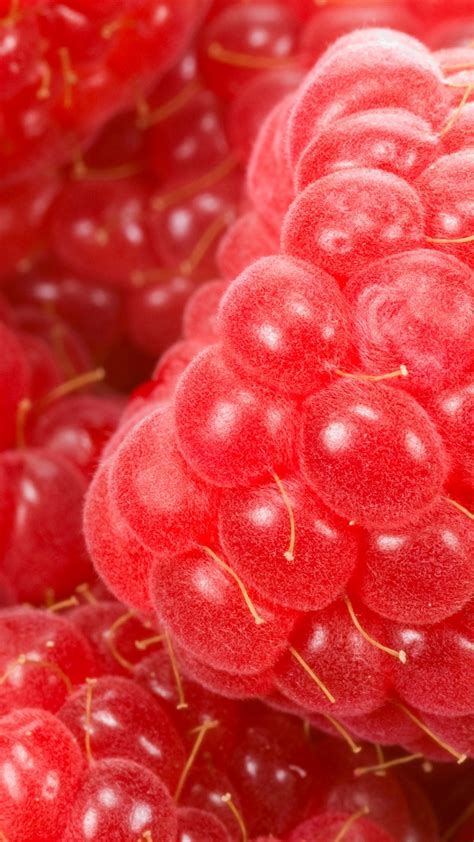 Wallpaper Red Raspberries Macro Photography Fruits Close Up 3840x2160