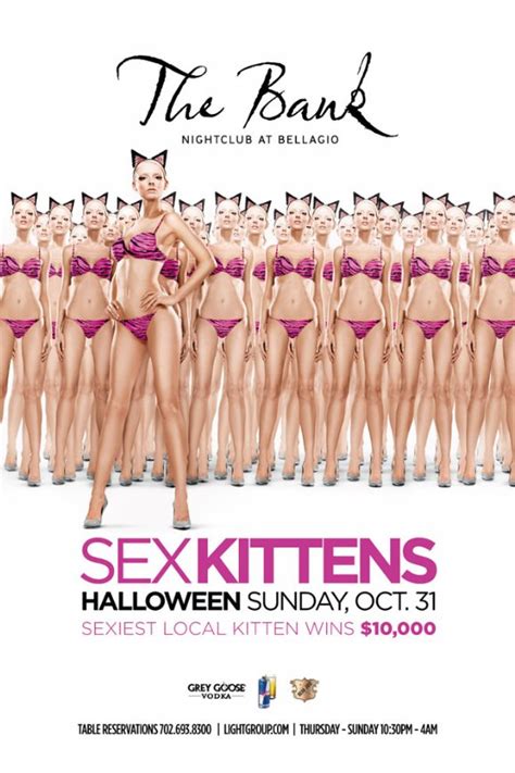 meo sex kittens at the bank sexiest local kitten contest free image