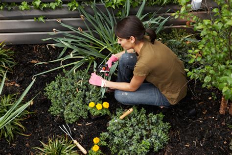 Gardeners And Landscape Gardeners Pay Employment Hours And Equality Data