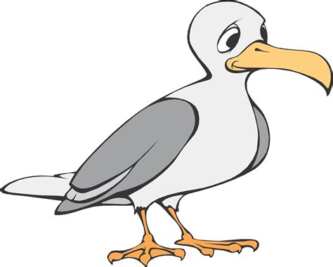 Cartoon Seagull Clipart Best