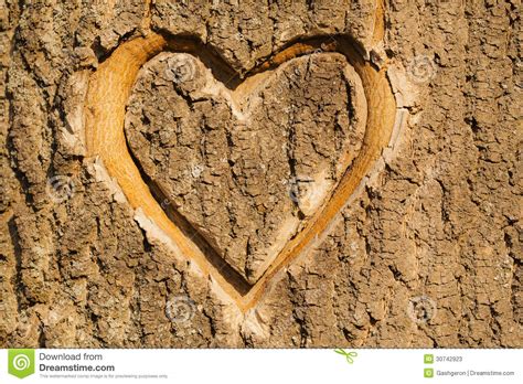 The best selection of royalty free heart carved on tree vector art, graphics and stock illustrations. Heart carved in the bark. stock image. Image of carved ...
