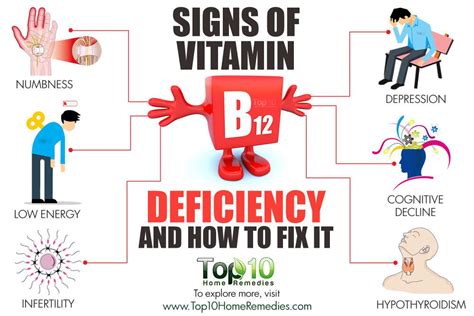 Best vitamin d and b12 supplements. Signs of Vitamin B12 Deficiency and How to Fix It | Top 10 ...