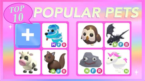Top 10 Most Popular Pets In Adopt Me Youtube