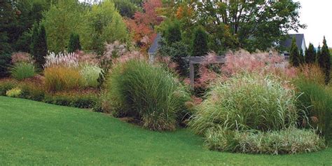 Plants for a coastal garden. Designing With Grasses - FineGardening in 2020 | Shade ...