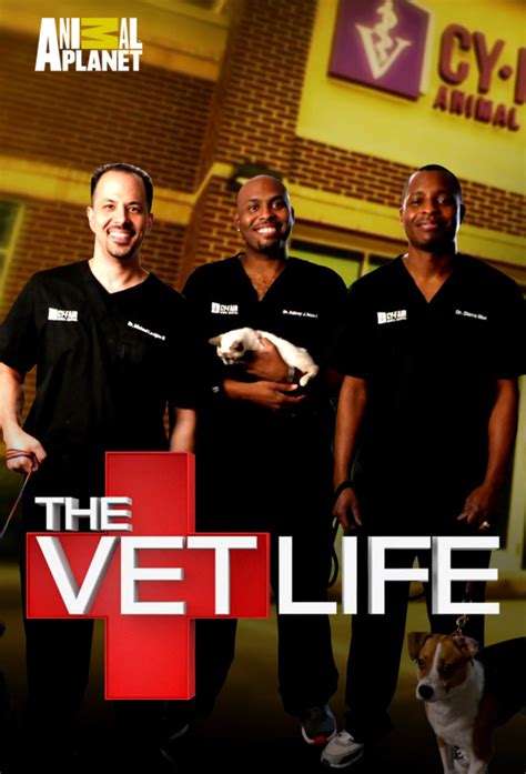 The Vet Life 2016 S06e08 Daddy Day Care Watchsomuch