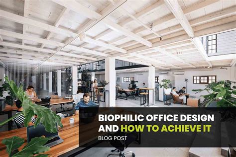 Biophilic Office Design And How To Achieve It Interia