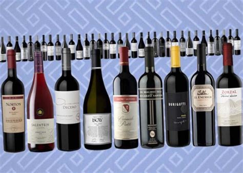 Los 10 Mejores Vinos Argentinos Nueva Ciudad
