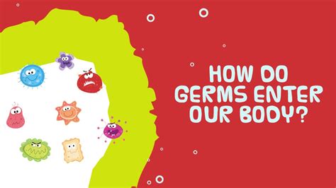 Interesting Fact About Human Body How Do Germs Enter Our Body Youtube