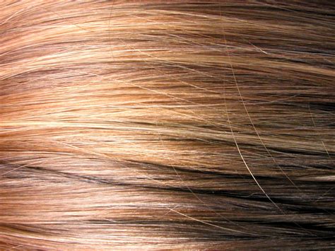 Hair Download Hair Texture Hair Texture Background
