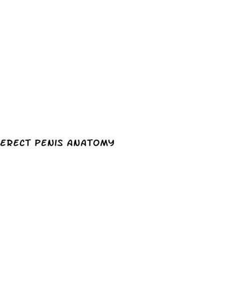 erect penis anatomy ﻿ecowas