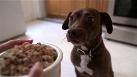 Competition for the farmer's dog includes blue buffalo, purina, purina pro plan, purina beneful, pedigree and the other brands in the food & beverage: The Farmer's Dog TV Commercial, 'Developed With Vets: 50 ...