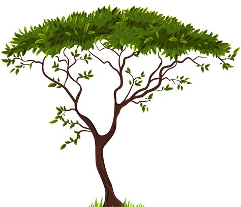 Transparent Tree Clipart Free Download On Clipartmag