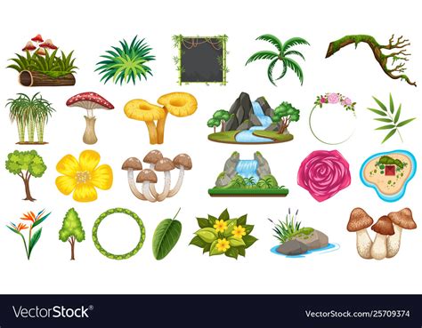 Set Different Nature Objects Royalty Free Vector Image