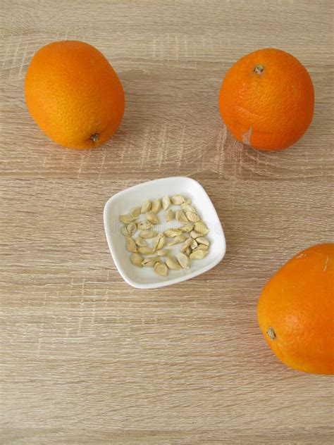 Orange Seeds Of Sweet Oranges For Growing An Orange Tree Stock Image