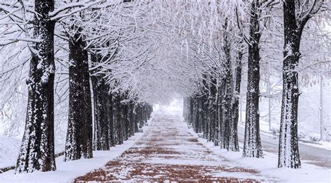 South Korea is The Winter Wonderland Getaway You Want and Need! - Klook